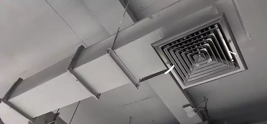 Our Pest Removal From Ducts Services in Garner, NC