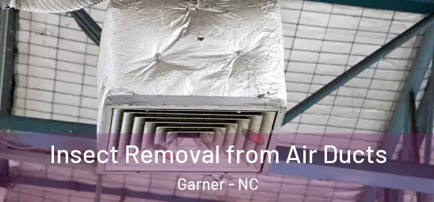  Insect Removal from Air Ducts Garner - NC
