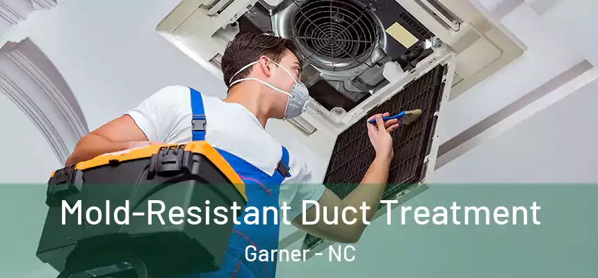  Mold-Resistant Duct Treatment Garner - NC