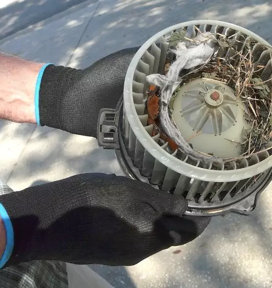 About Air Duct Mice Removal in Garner, NC