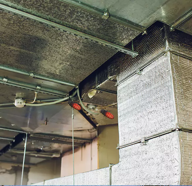 Why Homeowners & Businesses Trust Us in Garner, NC?