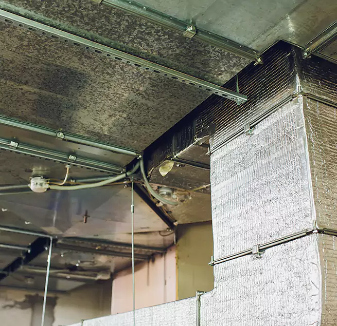 Why Homeowners & Businesses Trust Us in Garner, NC?